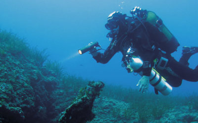 01. Buceo en la Reserva Marina