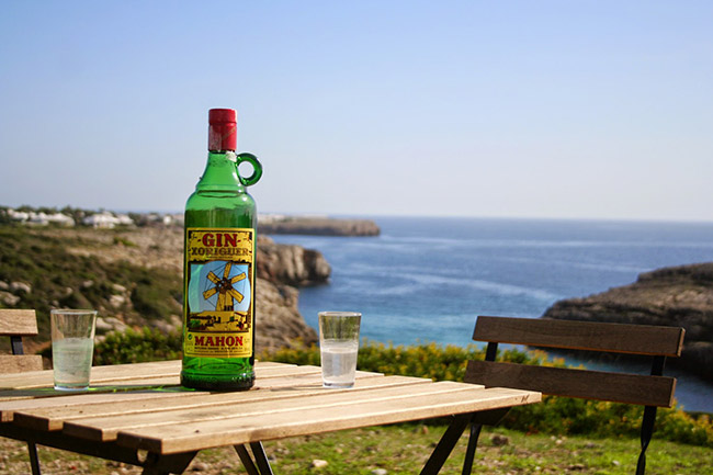 Gin Menorca - Villas Etnia