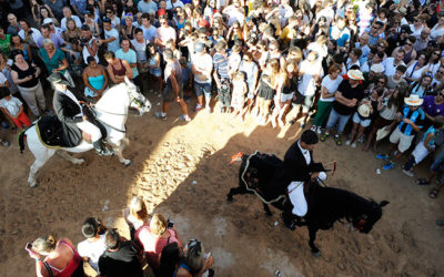 Fiesta de «Sant Martí» Es Mercadal