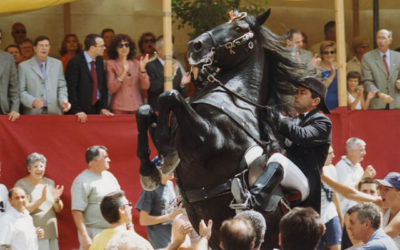 Fiestas de la «Mare de Déu de Gràcia» Mahón