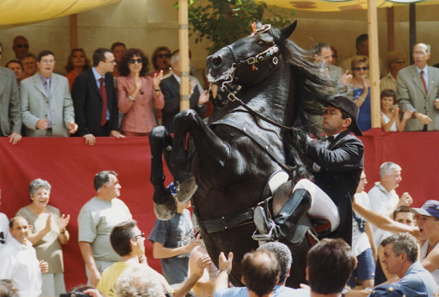 Festes de la Mare de Deu de Gràcia