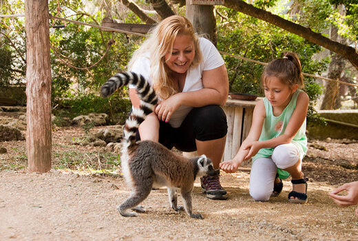 Acercarse a los animales en Menorca